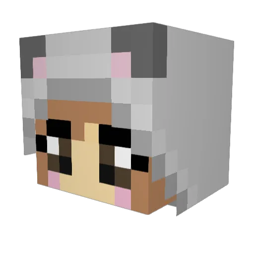 tiicky Minecraft avatar head, 3D render