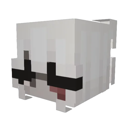 tiily Minecraft avatar head, 3D render