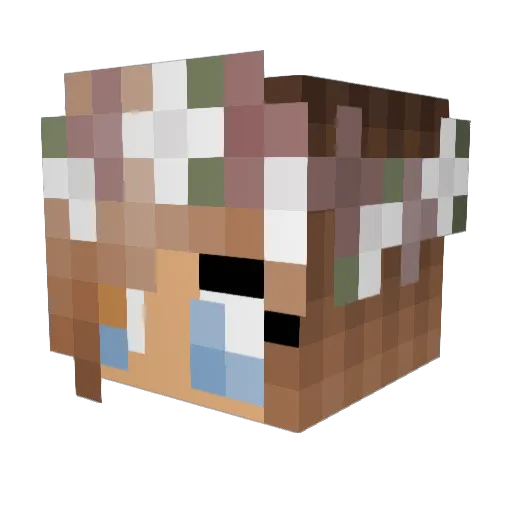 tiionne Minecraft avatar head, 3D render