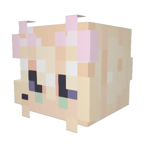 tiitu1111 Minecraft avatar head, 3D render