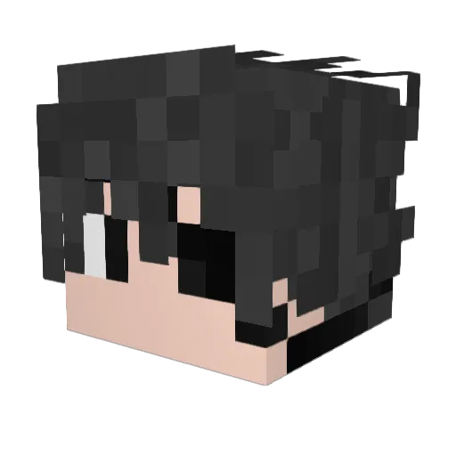 tijlp1 Minecraft avatar head, 3D render