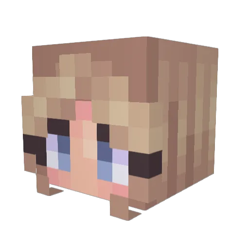 tijn4561 Minecraft avatar head, 3D render