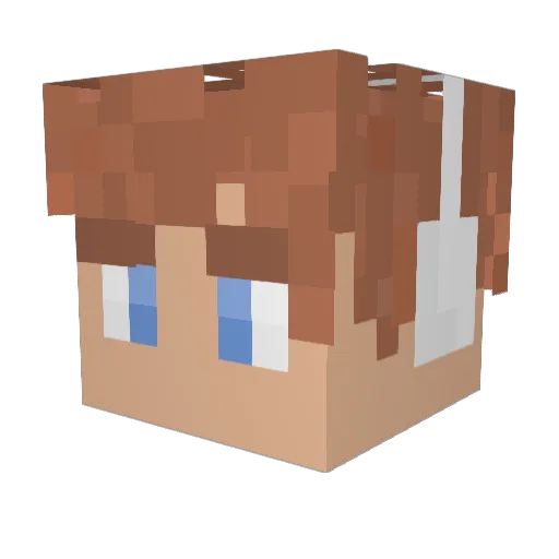 tijny_ Minecraft avatar head, 3D render