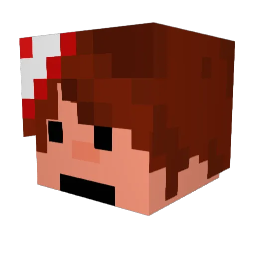 tijnyb Minecraft avatar head, 3D render