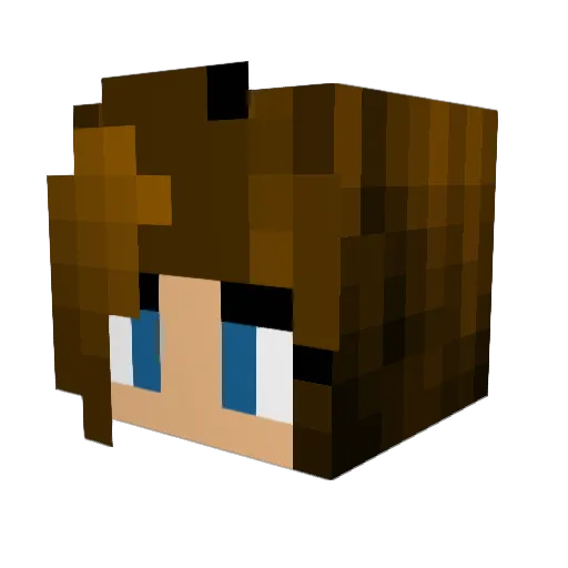 tijulia Minecraft avatar head, 3D render