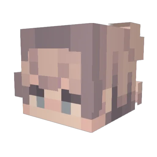 tikastan Minecraft avatar head, 3D render