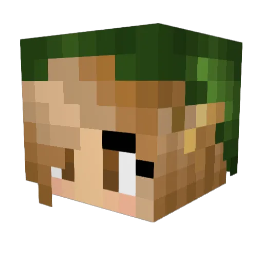 tikatopa Minecraft avatar head, 3D render