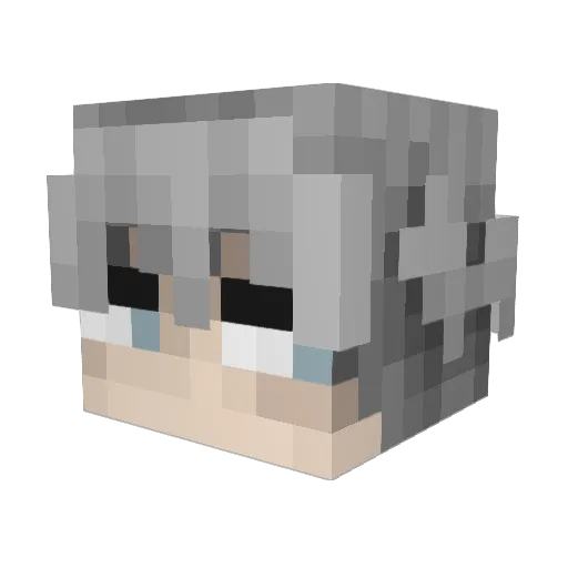 tikenshot Minecraft avatar head, 3D render