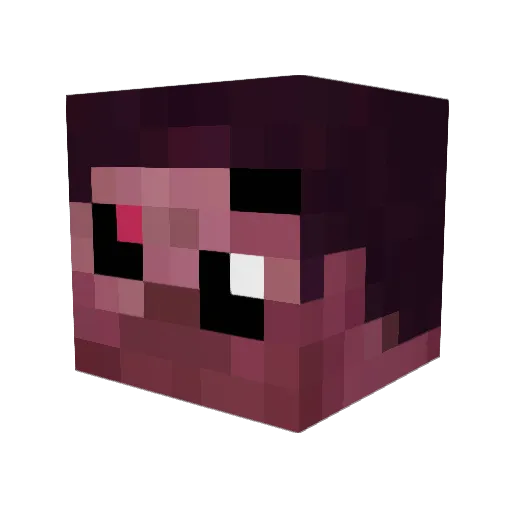 tikinn_kun Minecraft avatar head, 3D render