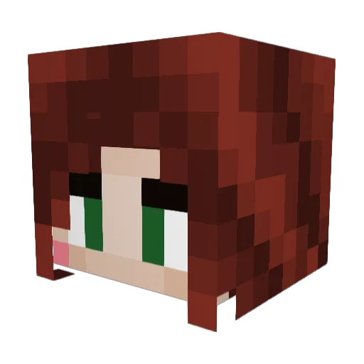 tikiteekee Minecraft avatar head, 3D render