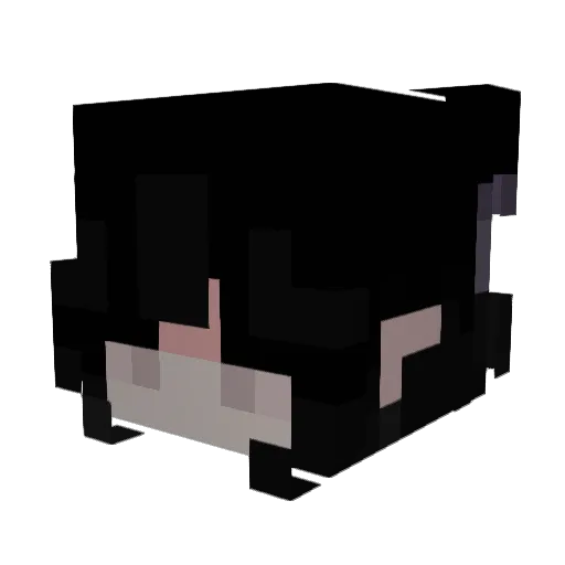 tiktoker124 Minecraft avatar head, 3D render