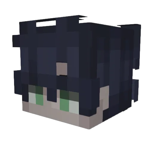 tiktokfish Minecraft avatar head, 3D render