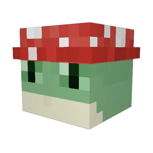 tildawg17 Minecraft avatar head, 3D render