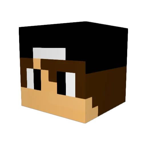 till4321 Minecraft avatar head, 3D render