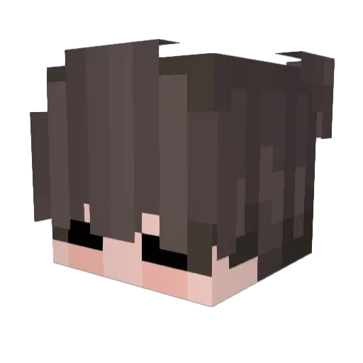 till_055 Minecraft avatar head, 3D render