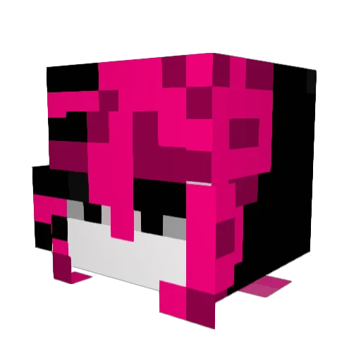 till_Littleman Minecraft avatar head, 3D render