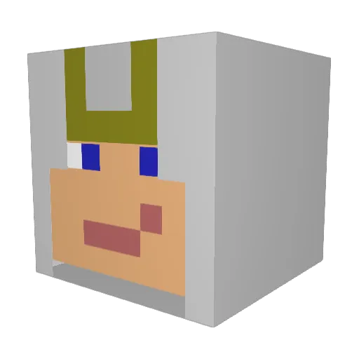 tilledeon Minecraft avatar head, 3D render