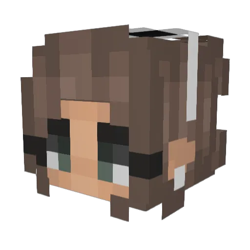 tillemerlo Minecraft avatar head, 3D render