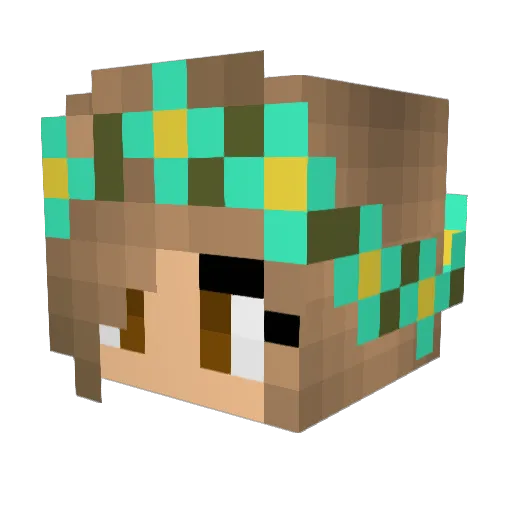 tillion1 Minecraft avatar head, 3D render