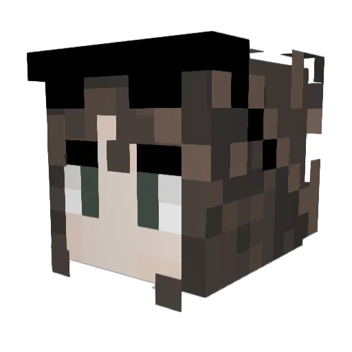 tillstar_ Minecraft avatar head, 3D render