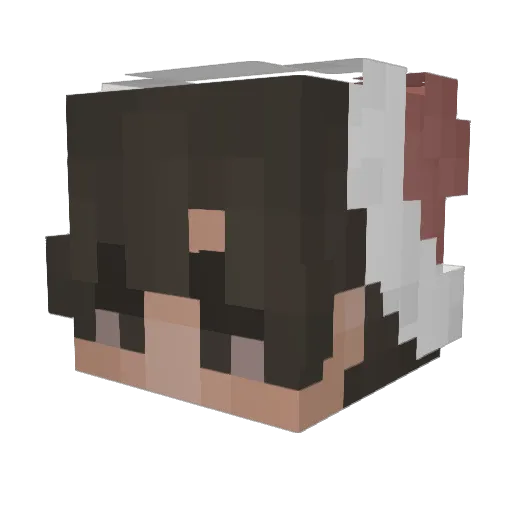 tilltoad Minecraft avatar head, 3D render