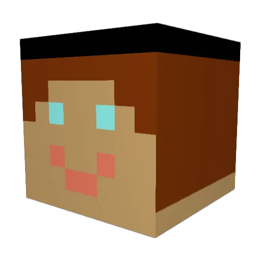 tilluuz Minecraft avatar head, 3D render