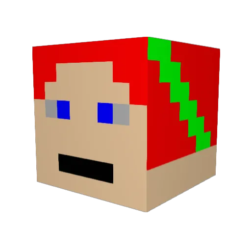 tillydog Minecraft avatar head, 3D render