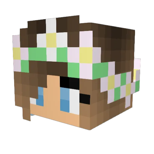 tillyp15 Minecraft avatar head, 3D render