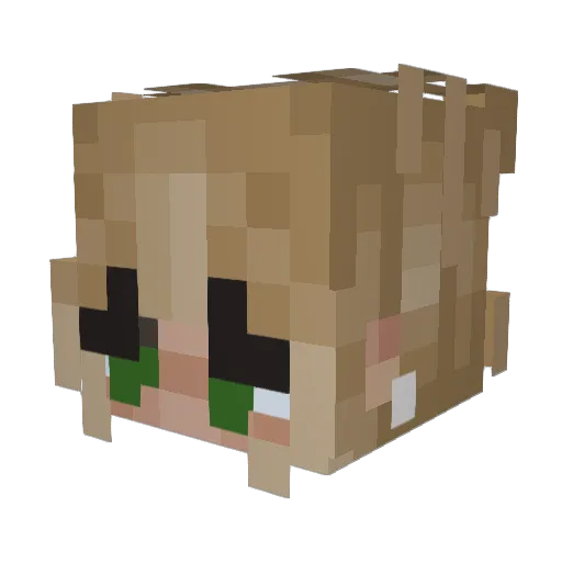tillytoo Minecraft avatar head, 3D render
