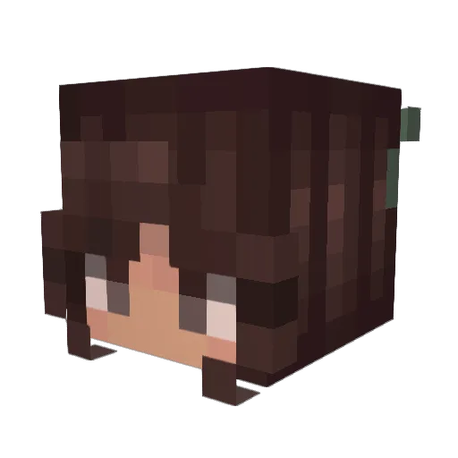 tiltilrocks Minecraft avatar head, 3D render