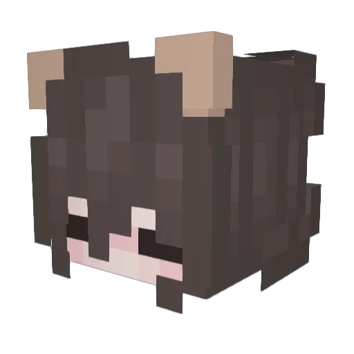 tilts1 Minecraft avatar head, 3D render