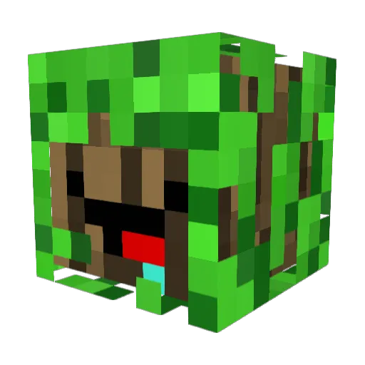 tim1808 Minecraft avatar head, 3D render