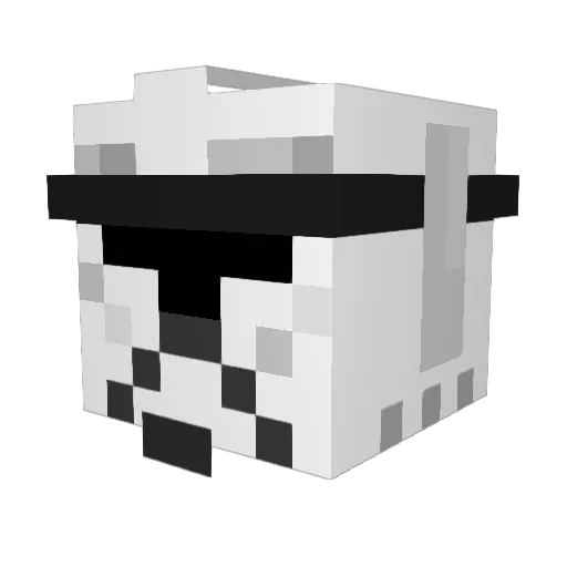 tim99xD Minecraft avatar head, 3D render