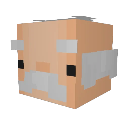 timBruter123 Minecraft avatar head, 3D render