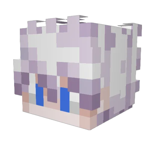 tim_hockeystar Minecraft avatar head, 3D render