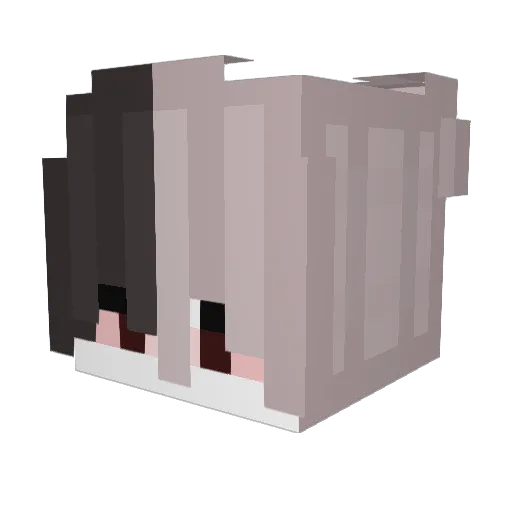 timak_ Minecraft avatar head, 3D render