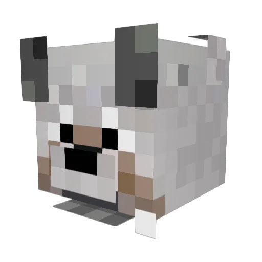 timantti12345 Minecraft avatar head, 3D render