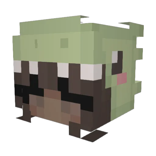 timawah Minecraft avatar head, 3D render