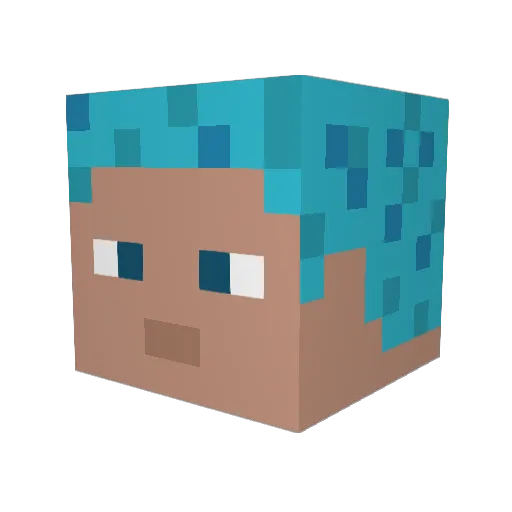 timberedsoup5 Minecraft avatar head, 3D render