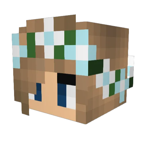 timbersfan1 Minecraft avatar head, 3D render