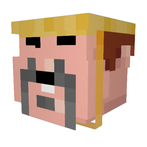 timbofreestyle Minecraft avatar head, 3D render