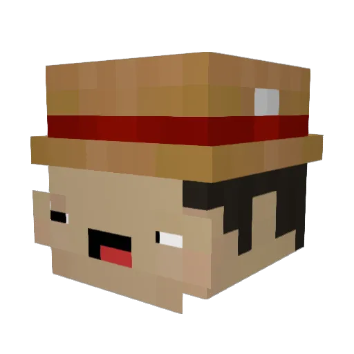 timboop Minecraft avatar head, 3D render