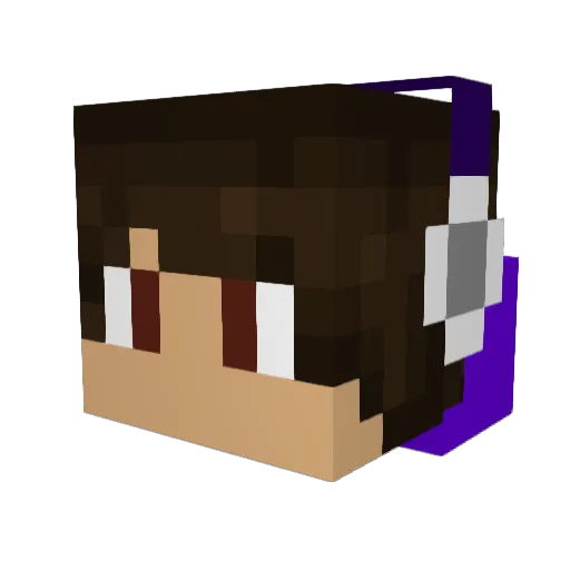 timcrafter2002 Minecraft avatar head, 3D render
