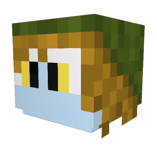 timdepoes123 Minecraft avatar head, 3D render