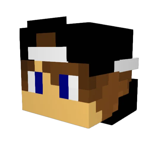 timdu71 Minecraft avatar head, 3D render