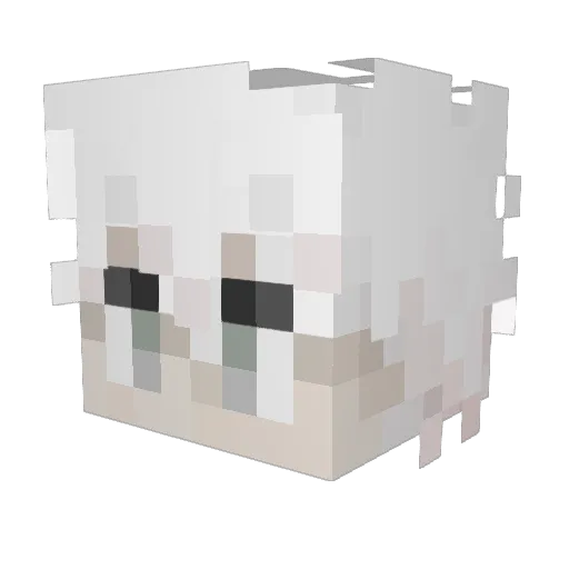 time_road Minecraft avatar head, 3D render
