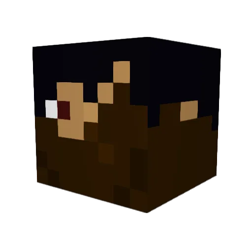 timechamber1 Minecraft avatar head, 3D render