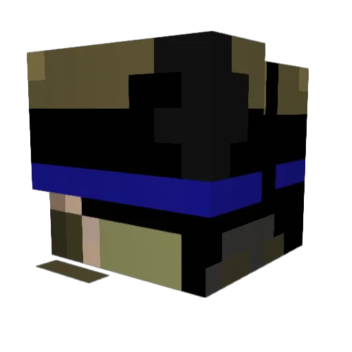 timedowngg Minecraft avatar head, 3D render
