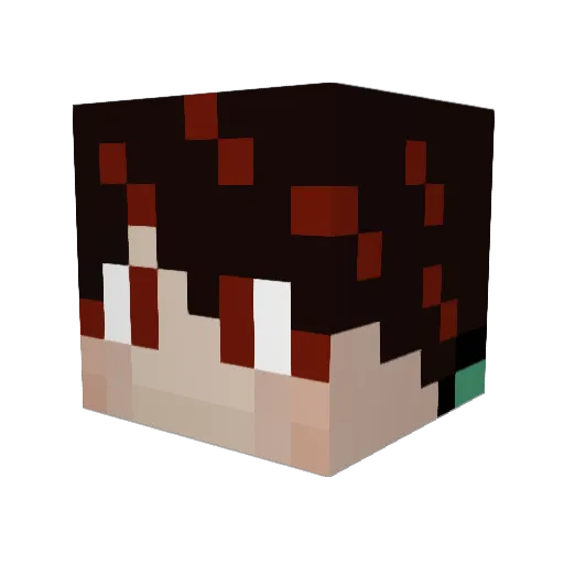 timekiller999 Minecraft avatar head, 3D render