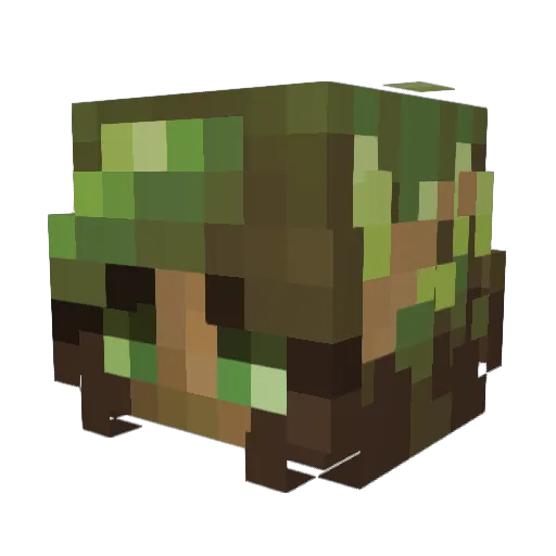 timelesschild1 Minecraft avatar head, 3D render